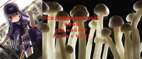 PSILOCYBIN Горно-Алтайск