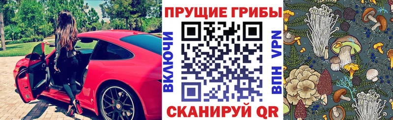 Псилоцибиновые грибы GOLDEN TEACHER Краснокаменск