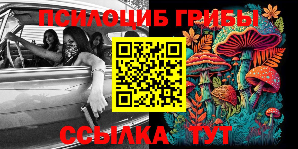 Галлюциногенные грибы Psilocybe  Вход с VPN  Краснокаменск 