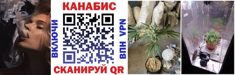 Бошки Шишки планчик  Краснокаменск 